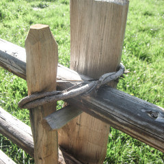 Lo steccato con correnti